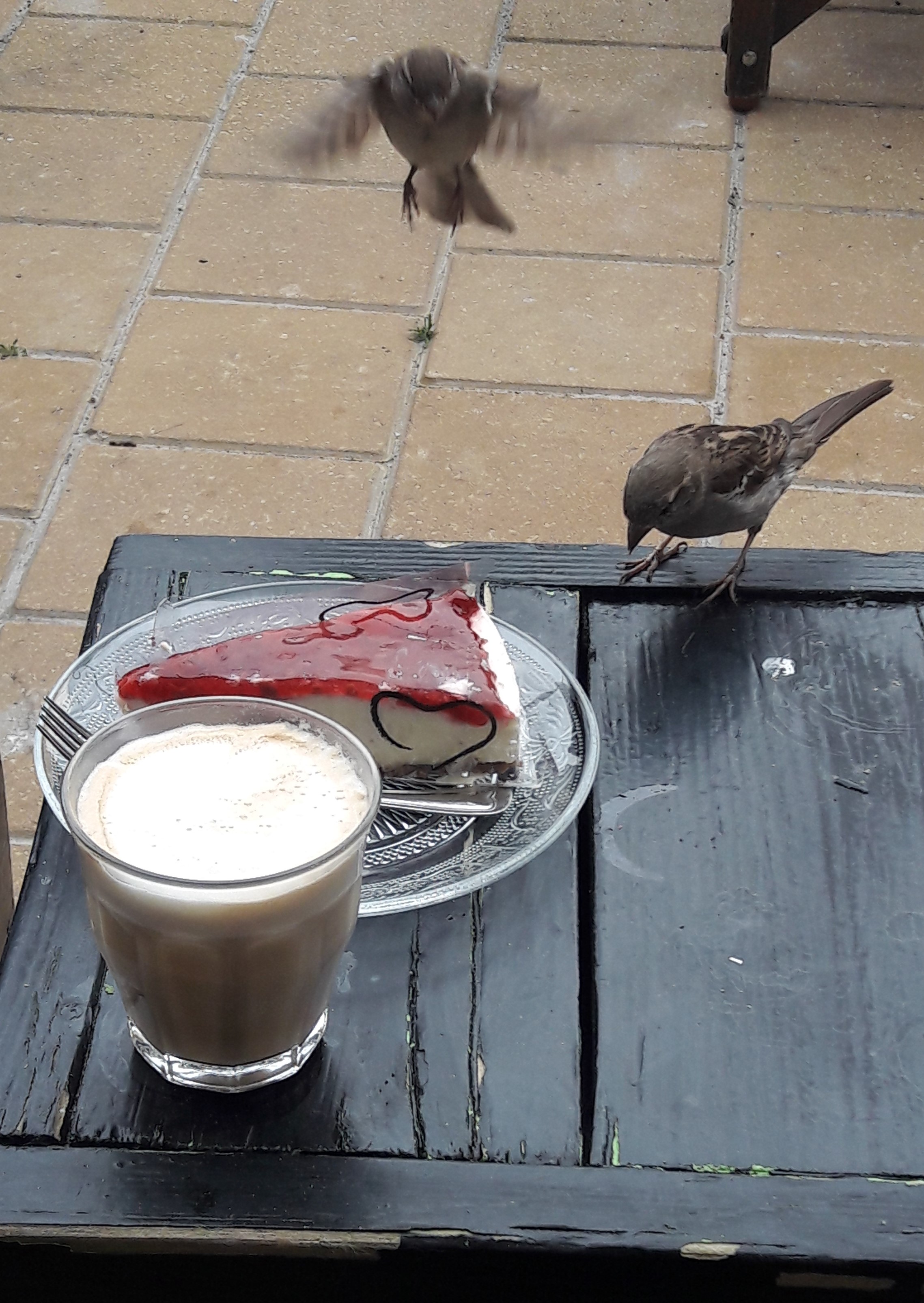 Ik bestelde een lekker monchoutaartje op een terras aan het strand in Makkum. Een mus kwam een hapje  nemen, toen twee mussen en al snel vielen vier mussen mijn taartje aan. Ik moest keihard lachen.